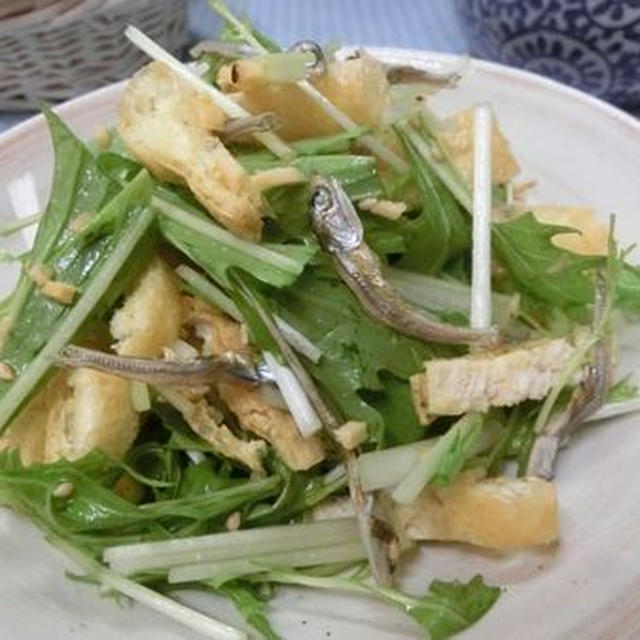 生姜ドレッシングが美味しい～♪　カリカリ油揚げと水菜の小魚サラダ