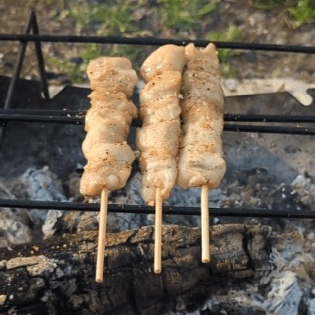 焚火でワイルドに焼く！やきとりを食べよう！