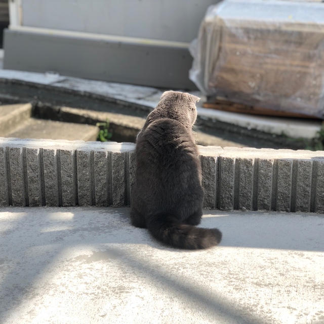 お久しぶりです