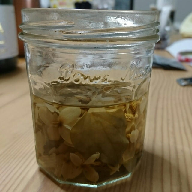 ドクダミチンキ