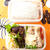 お弁当（真夜中制作）『訳あって凍ったままの鶏手羽元の塩焼き　チーズのせ』