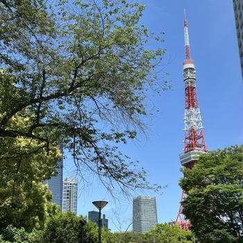 東京タワーそして麻布台ヒルズ