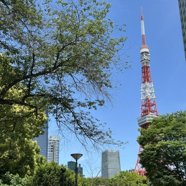 東京タワーそして麻布台ヒルズ