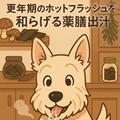 更年期ホットフラッシュを和らげる薬膳出汁とは