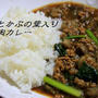ナスとかぶの葉入りひき肉のカレー