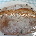 レーズンとクルミのカンパーニュ　Pain de Campagne