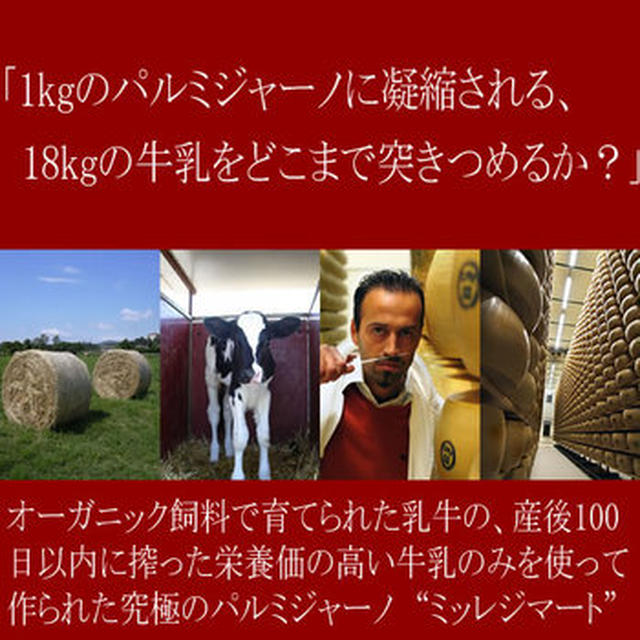 自ら有機栽培で作った飼料で乳牛を育て、産後100日以内に搾られた栄養価の高い牛乳のみで作られた狂気のパルミジャーノ