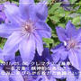【記録】川内村１０日から一時帰宅開始。