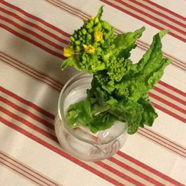 本日は雨、春だよ・・・花粉休憩