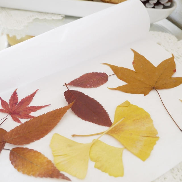 落ち葉で押し花 By Mituru Kitaokaさん レシピブログ 料理ブログのレシピ満載