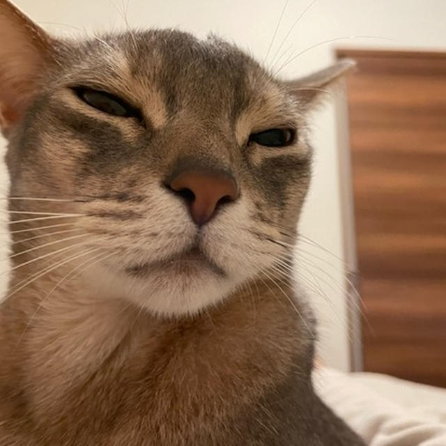 ちょびっと発熱…
