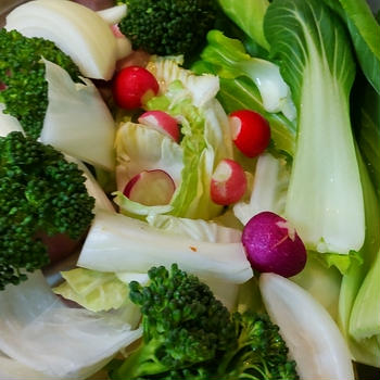 今日のごはん：無農薬野菜で作る！ステンレス鍋で秒速せいろ蒸しディナー！