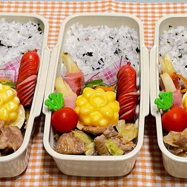 6月4日＊ピリ辛味噌炒めで簡単べんとー！！！