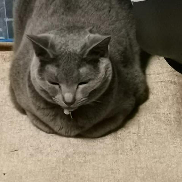 エアコンをつけたら…