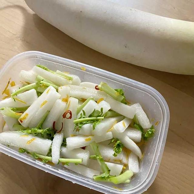 素材料理　大根・芋・蓮根