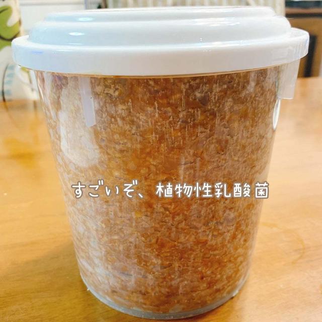 日本の食文化を支えてきた『植物性乳酸菌』