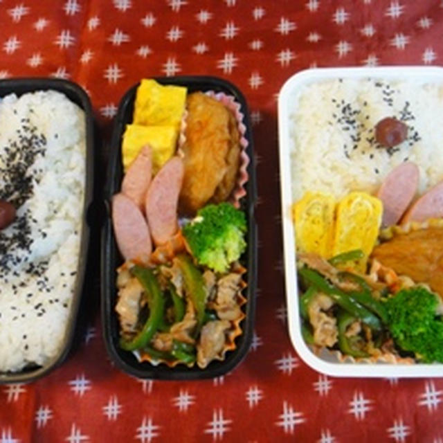 ７月１７日　豚肉とピーマンのオイソ炒め♪　～　メタボダーリン　＆　男子高校生弁当
