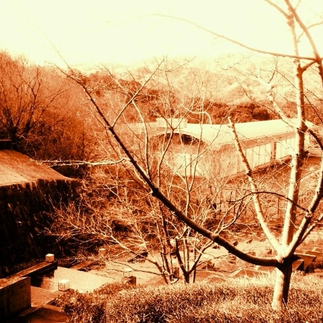 見慣れた風景～文化の森公園