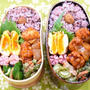 【毎日のお弁当】11/21～11/25