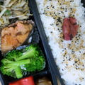 春巻きと鮭のバターソテーのお弁当♪