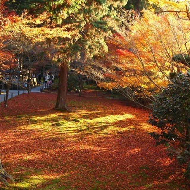 そうだ。京都にいこ〜う＊。