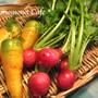 変わった野菜が。。。♪＊・。・＊