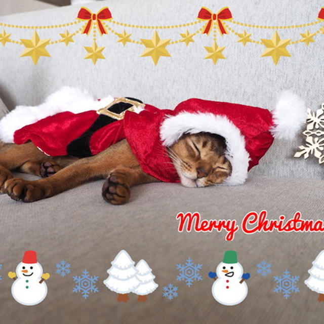 🎄メリー・クリスニャス🎄