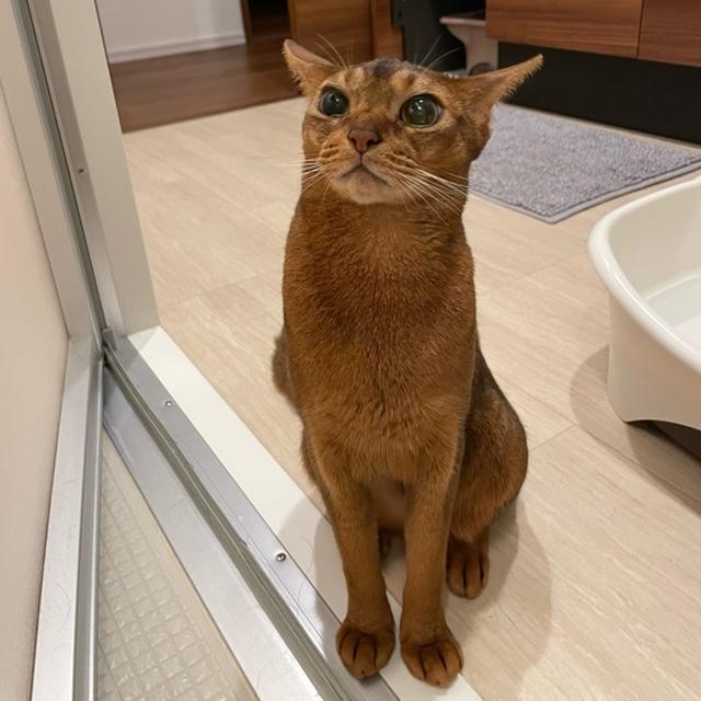 デジャヴかな？