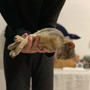 献上　わかさま