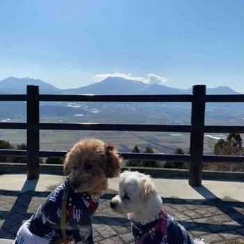 九州旅行🚙わんちゃんと車中泊⑤