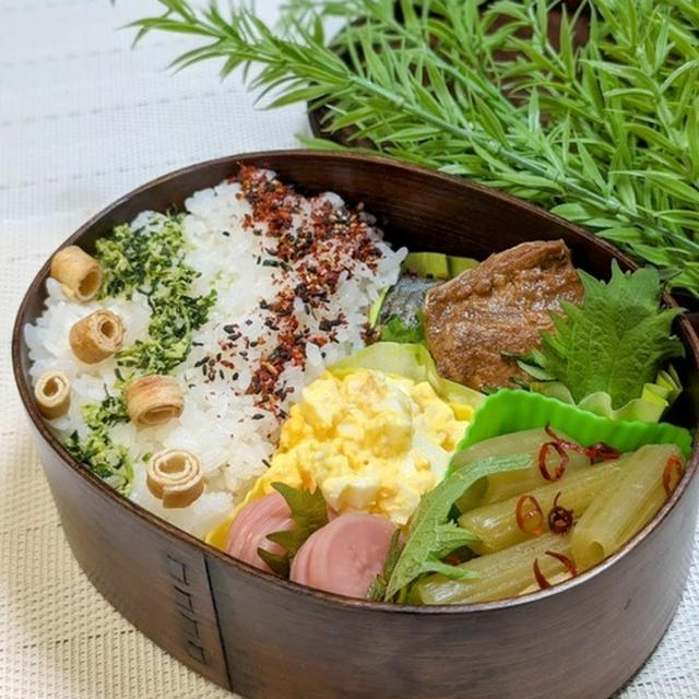 「ふき」を登場させることができて満足～夫のお弁当１５