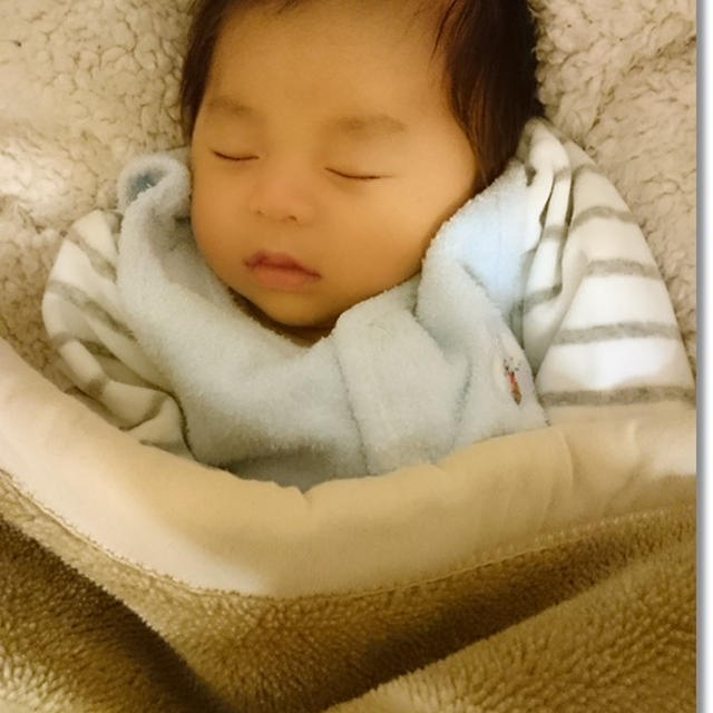 我が家の王子も大好きなCカーブで御機嫌さん♪