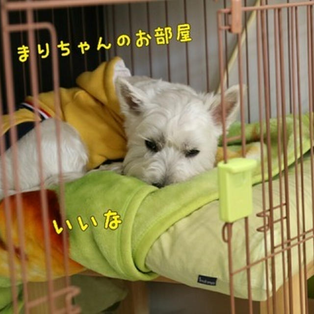 大きな訪問者