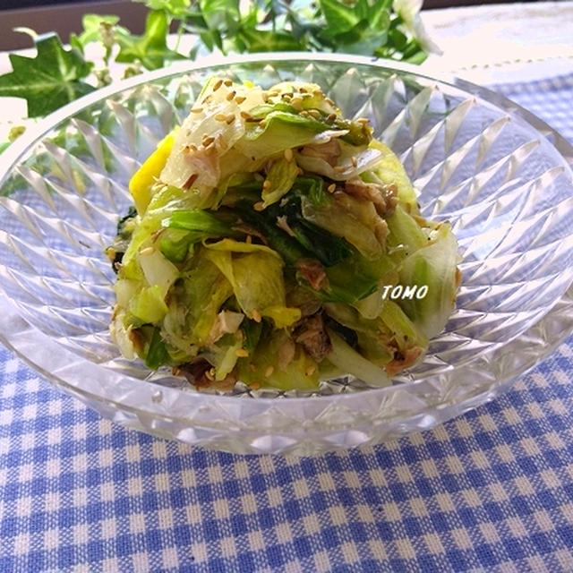 ぐんまクッキングアンバサダー♪つくりおきにも！群馬県産レタスとサバ缶の浅漬け