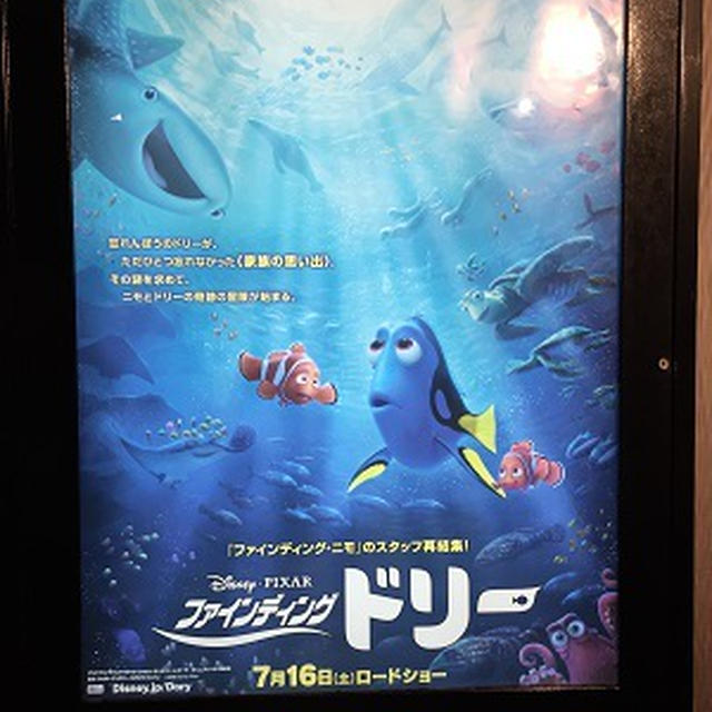 映画の後はこちら