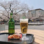 東工大キャンパスで桜を眺めながらビールを飲む