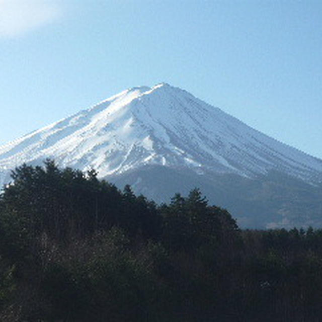 *良いお年を・・・*