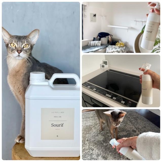 【PR】人にも猫にも安心な除菌・消臭「Sourif」で、おうちの除菌も冬のウィルス対策もバッチリ♪