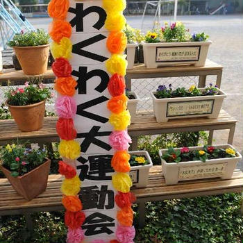 初運動会