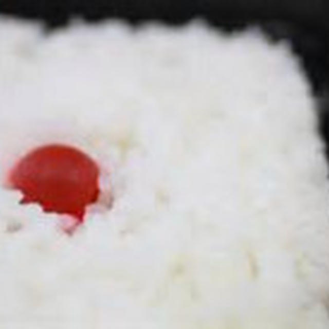 暑い日のお弁当作り～ＮＧ食材とおすすめ食材～