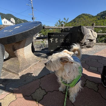 くおんの４歳記念は下呂温泉の旅