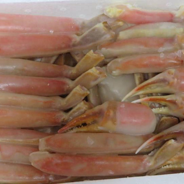 ふるさと納税の返礼品の蟹