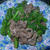 △[炒め物]牛肉と菜の花の牡蠣油炒め