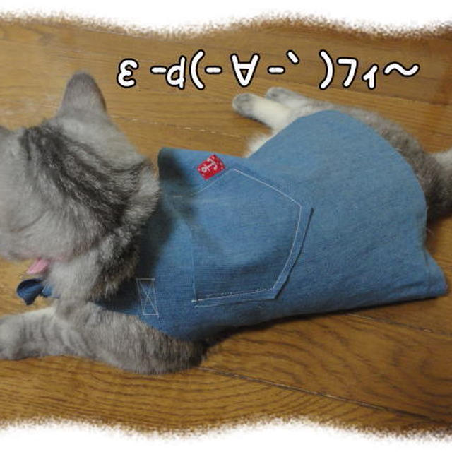 お手伝い猫イチゴ参上！