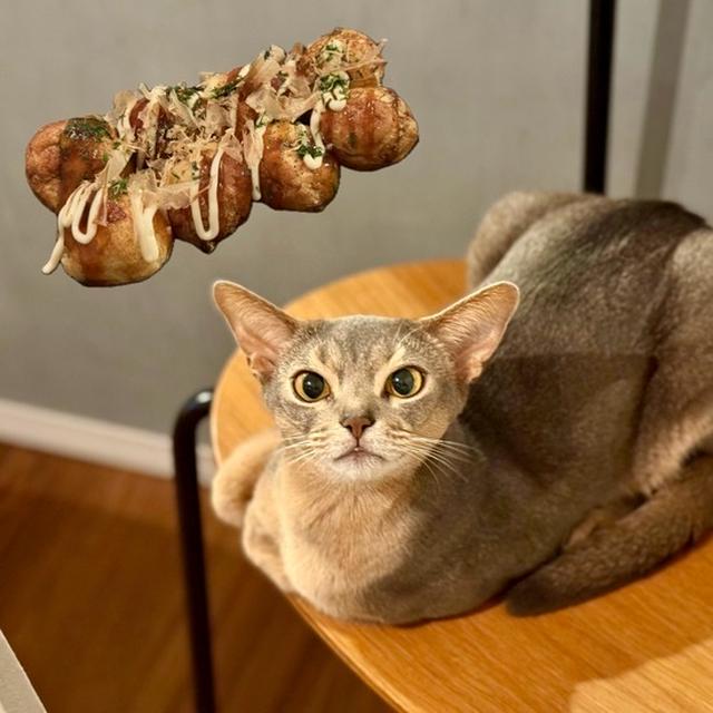 連休はじめは、たこ焼きの夜ごはん🐙