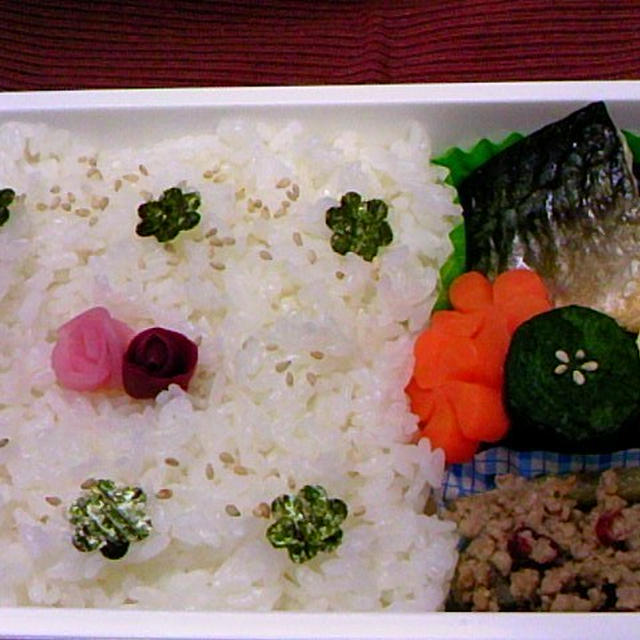 今日のお弁当　　第184号　～ごぼうと挽肉の味噌煮～