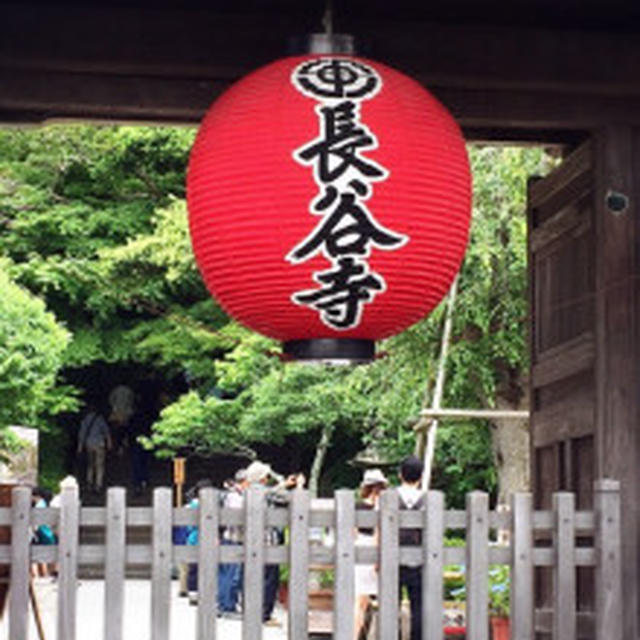 suz caf'e、鎌倉紫陽花散歩（紫陽花編）。。。