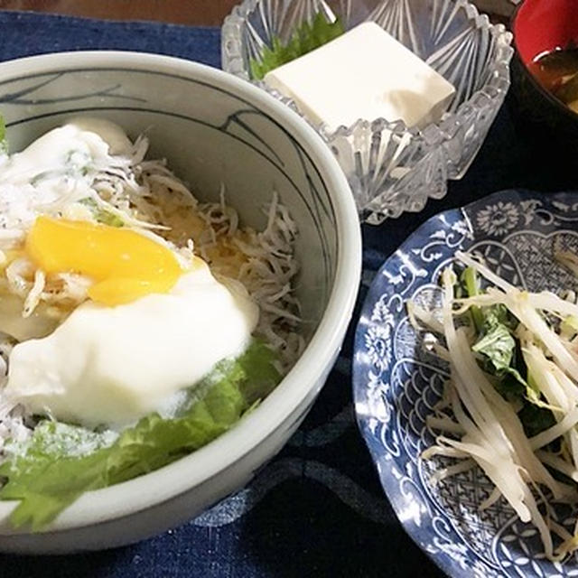 嬉しいお届け物＆シラスどんぶり