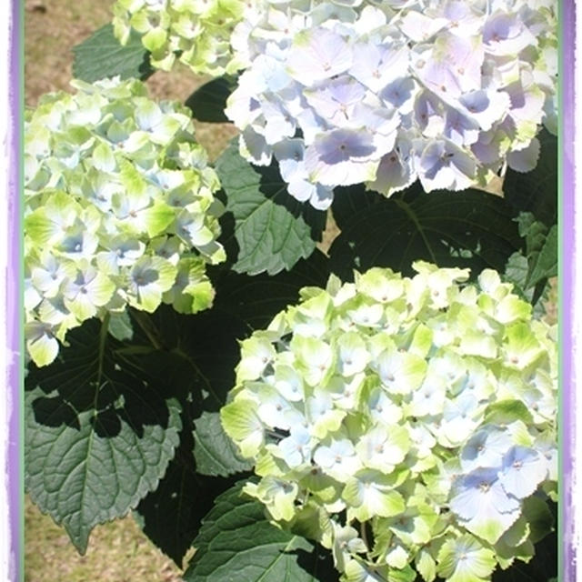 日向ぼっこ♥お掃除日和・・・♪