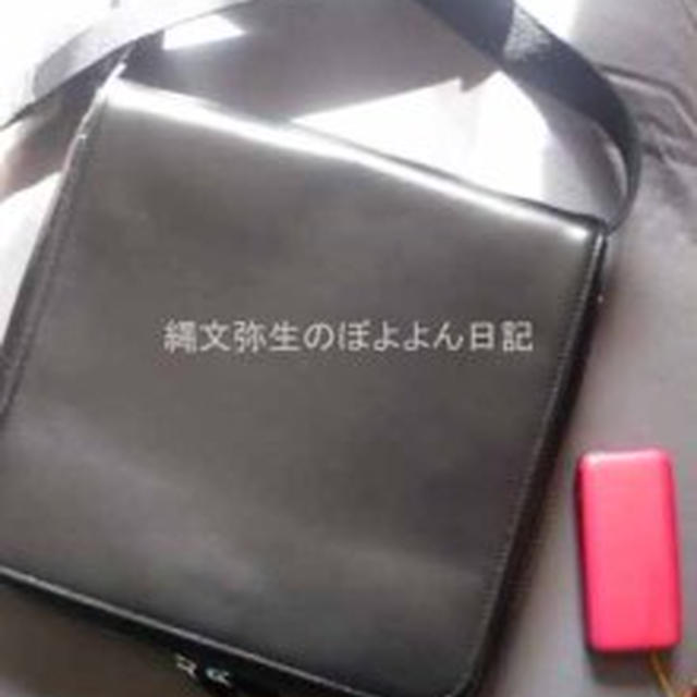 持ち歩くバッグ